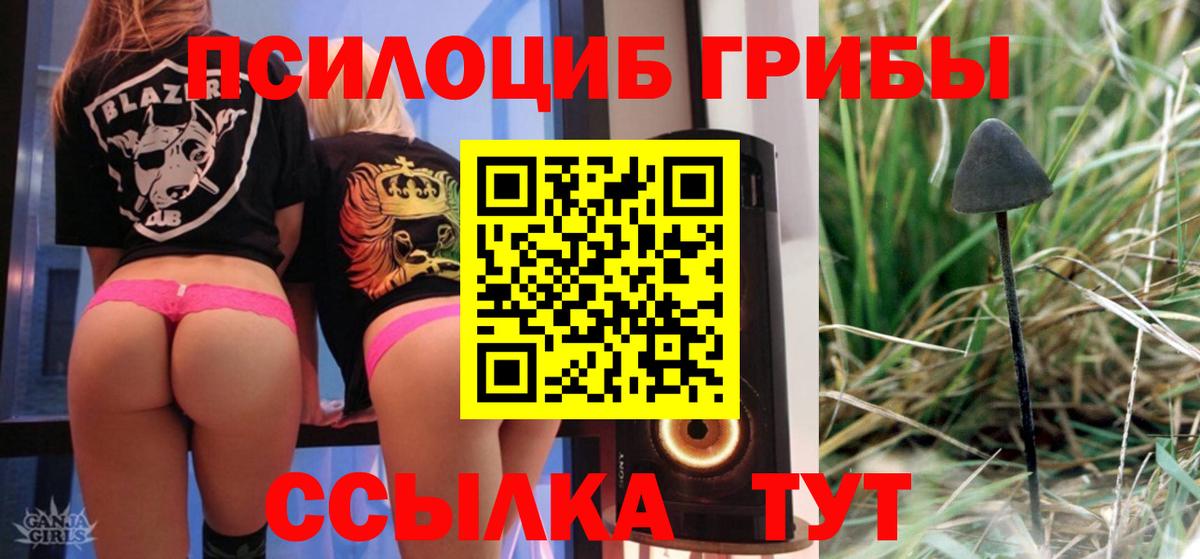 Псилоцибиновые грибы Psilocybine cubensis  Вход с VPN  Ликино-Дулёво 